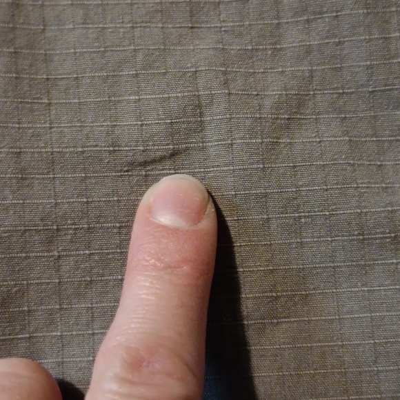 5/$10 Gloria Vanderbilt Brand Women's Capris Size 8 - Picture 4 of 7